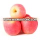 Best Price Fresh Apple Fruits China Fuji Apple