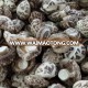 Dried Mushroom to Export