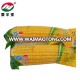 Vacuumed Corn Sweet Fresh Corn Factory Supply