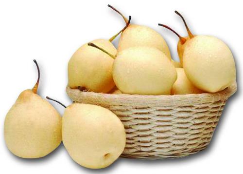 2016 Year 100% Organic Fresh Ya Pear on Sale