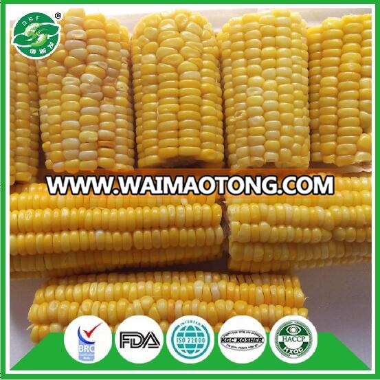 advanced equipment hot selling all variety yellow waxy sweet corn frozen